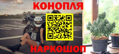 стаф Белореченск