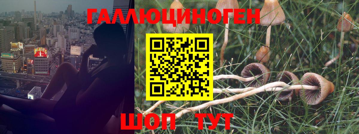 наркота  Вход с VPN  Горячий Ключ  Псилоцибиновые грибы ЛСД 